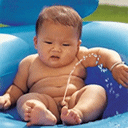 bebe